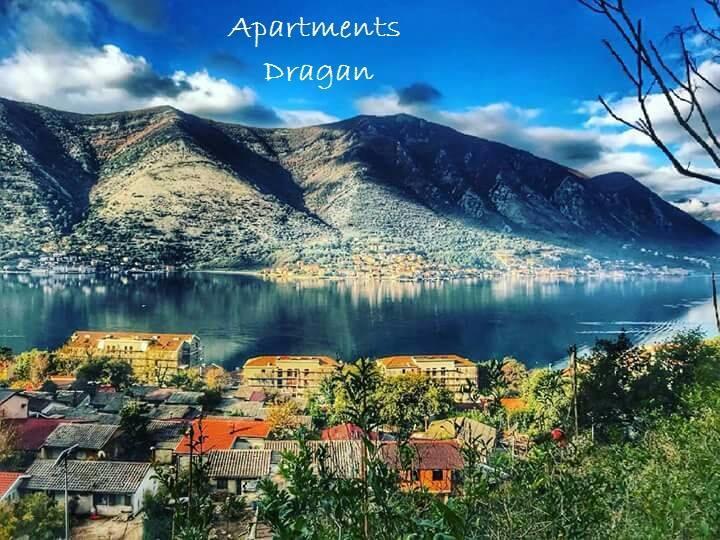 Apartment Dragan